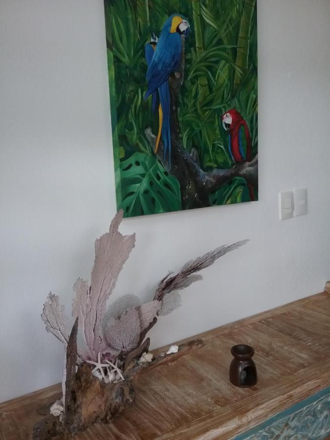 Casa Rioja Playacar Panzió Playa del Carmen Kültér fotó