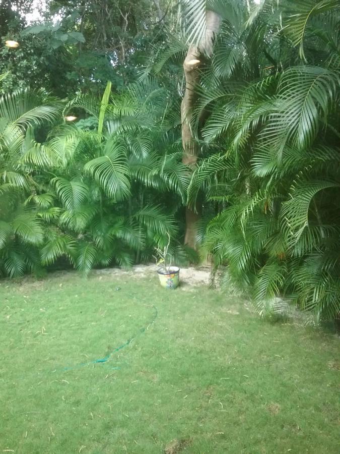 Casa Rioja Playacar Panzió Playa del Carmen Kültér fotó